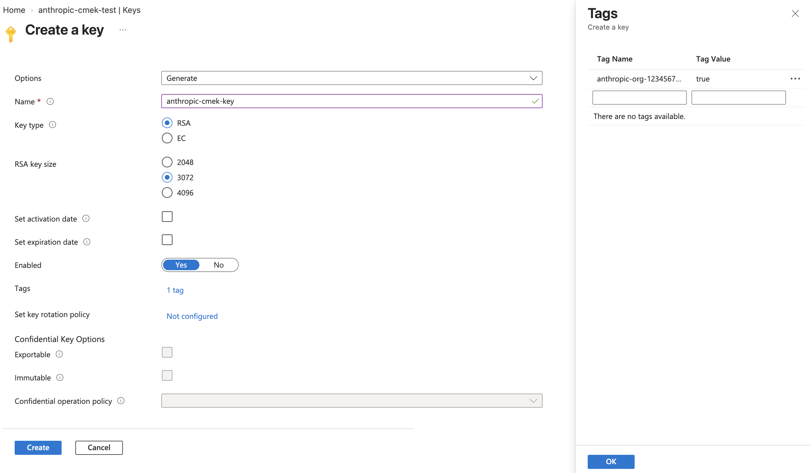 Azure Key Vault Create a key page with RSA, 3072 key size, and the anthropic-org tag set to true.